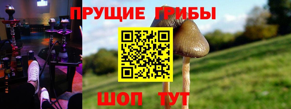 Томск  Галлюциногенные грибы MAGIC MUSHROOMS  Галлюциногенные грибы Magic Shrooms  Вход с VPN 